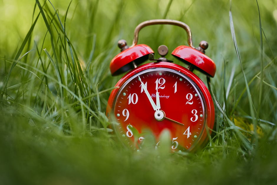 Why Now Is the Perfect Time to Focus on Small Business Success