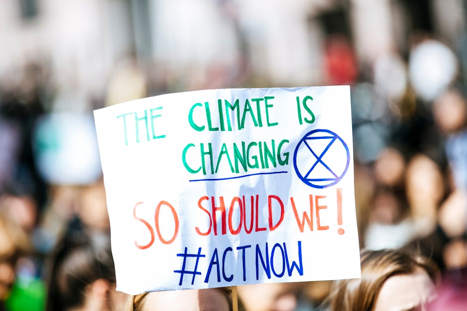 A Growing Climate of Political Calm Sets the Stage for the Upcoming Election